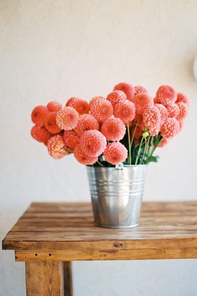 Dahlias in Metal Bucket