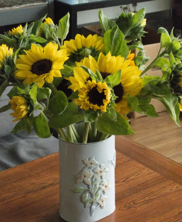 Solrosor som snittblommor i ett vardagsrum